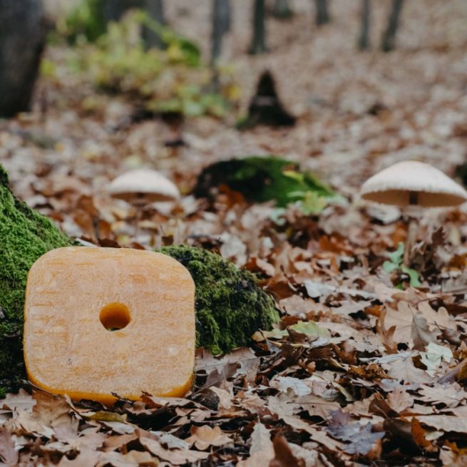 Momeală cu fructe de pădure pentru animale sălbatice 2kg