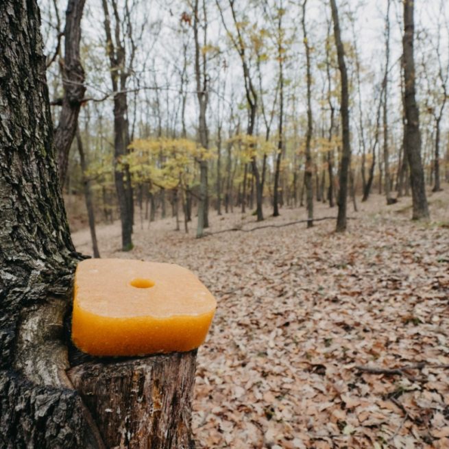 Momeală cu fructe de pădure pentru animale sălbatice 2kg